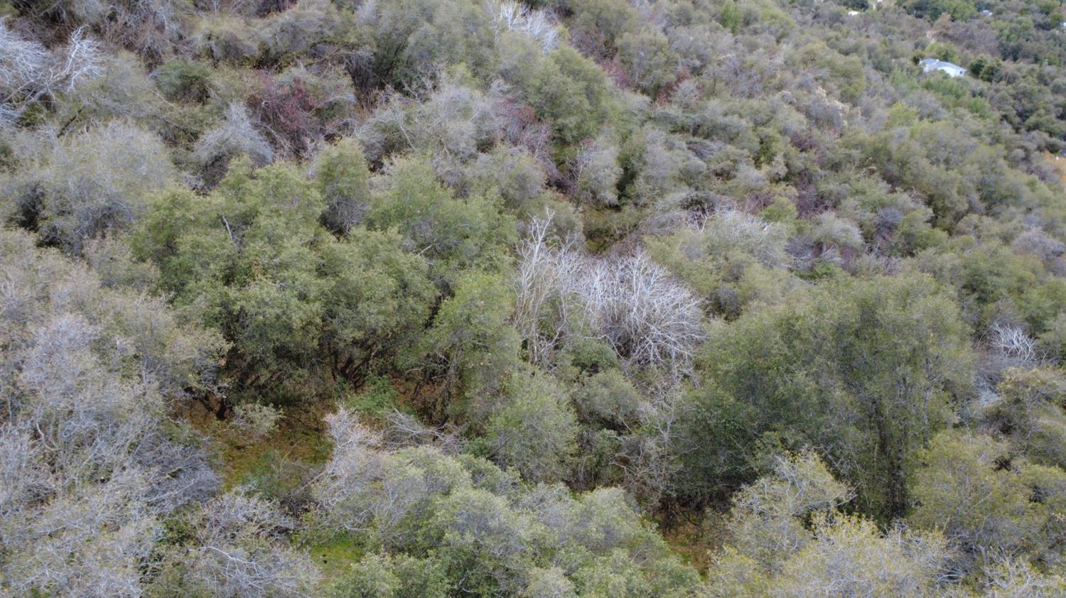 0 0 APN 190-430-43, Yokuts Valley, CA 93675