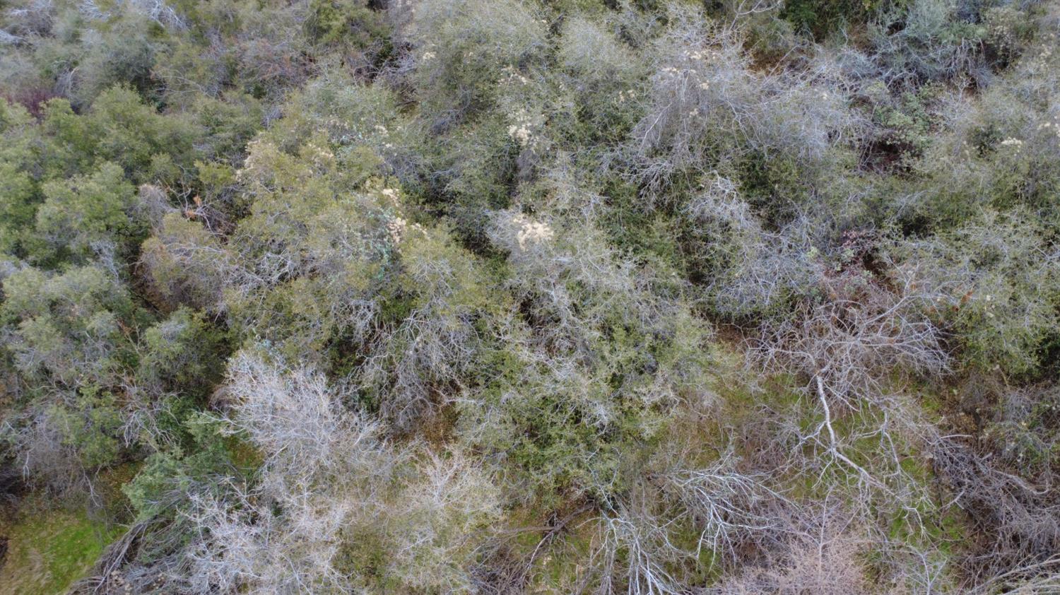 0 0 APN 190-430-43, Yokuts Valley, CA 93675