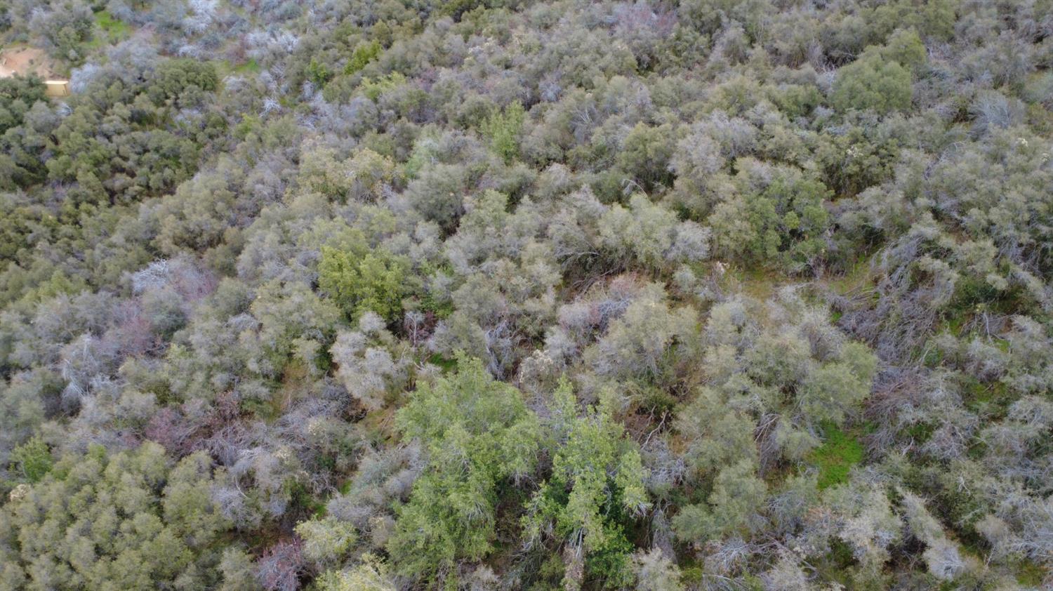 0 0 APN 190-430-43, Yokuts Valley, CA 93675