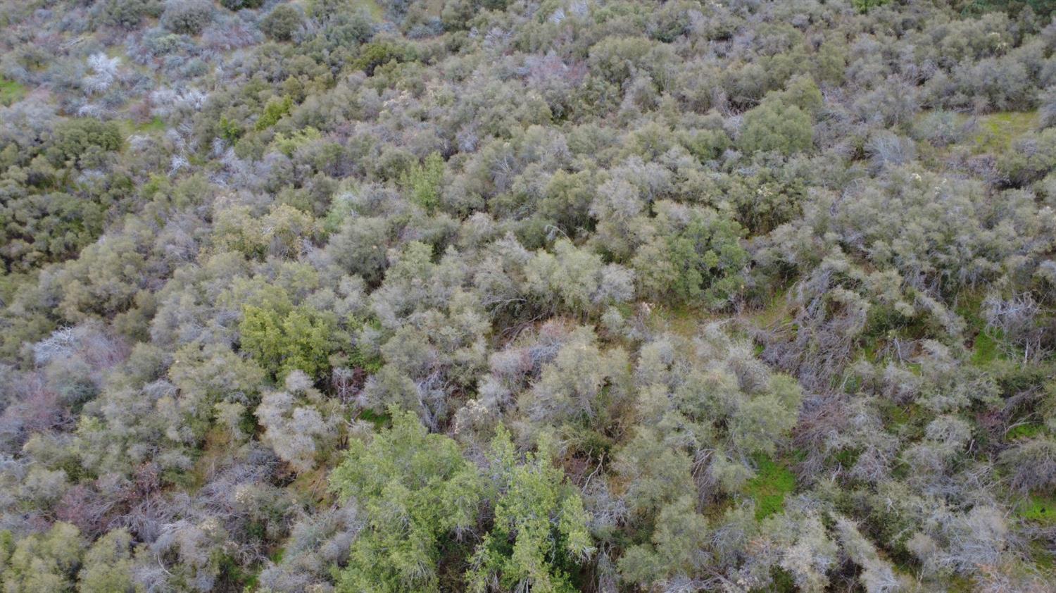 0 0 APN 190-430-43, Yokuts Valley, CA 93675