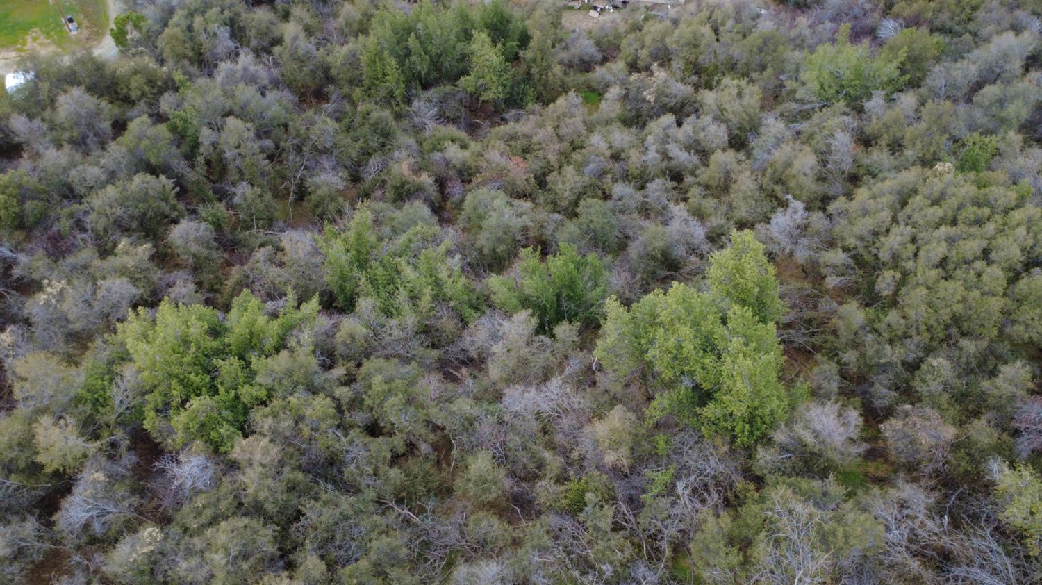 0 0 APN 190-430-43, Yokuts Valley, CA 93675