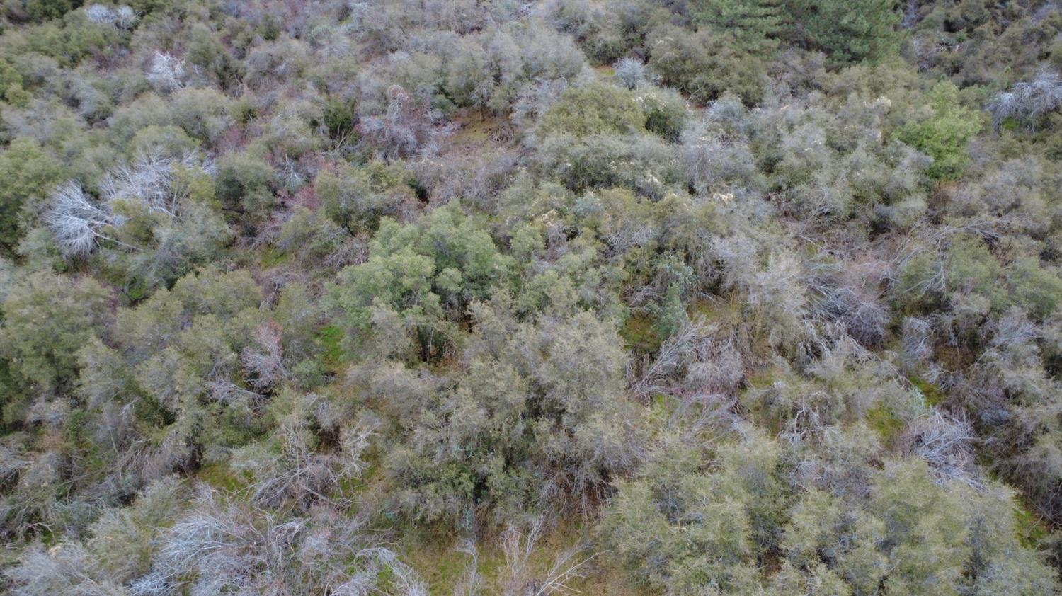 0 0 APN 190-430-43, Yokuts Valley, CA 93675