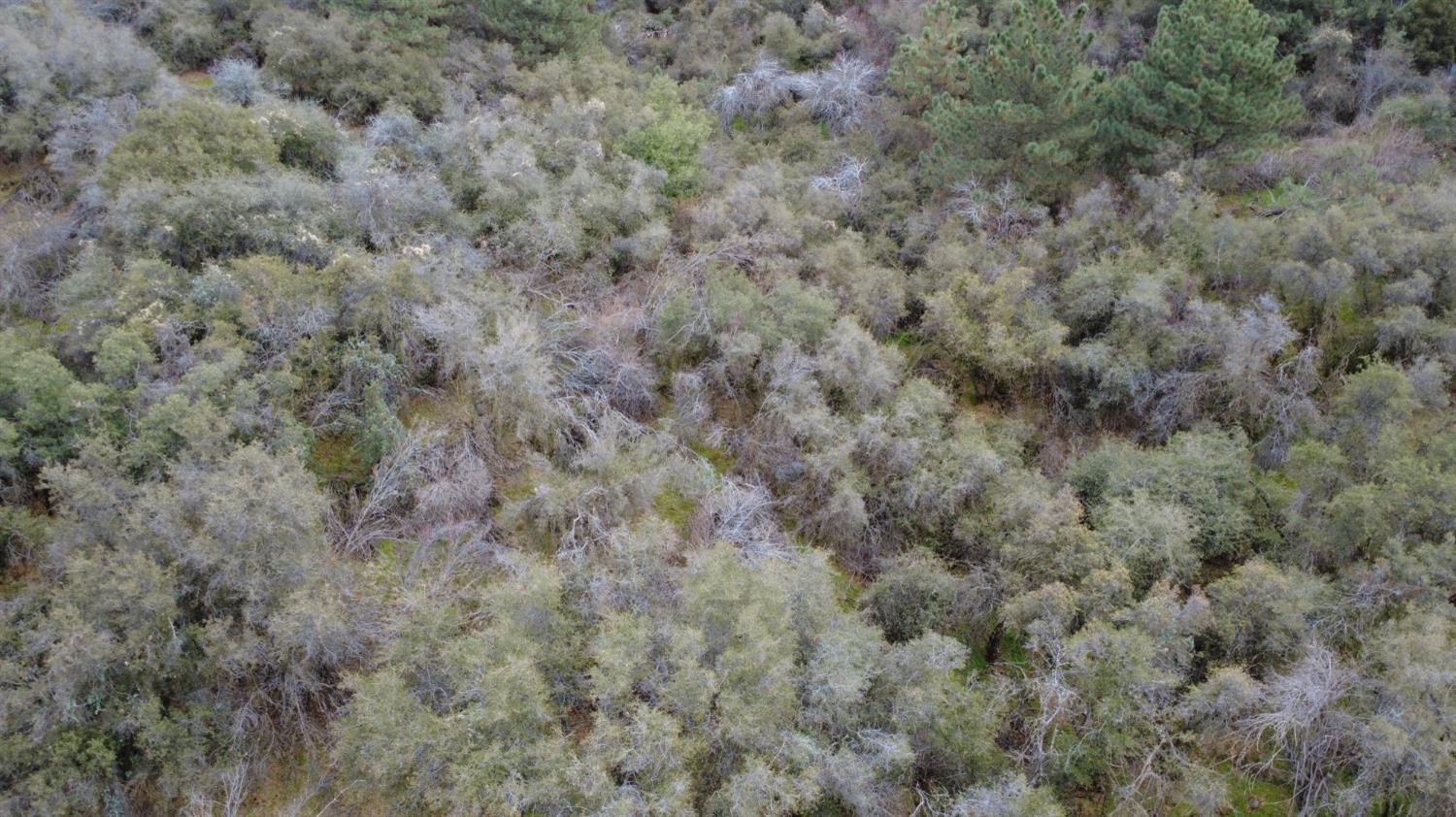 0 0 APN 190-430-43, Yokuts Valley, CA 93675