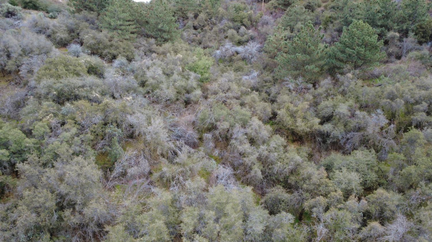 0 0 APN 190-430-43, Yokuts Valley, CA 93675