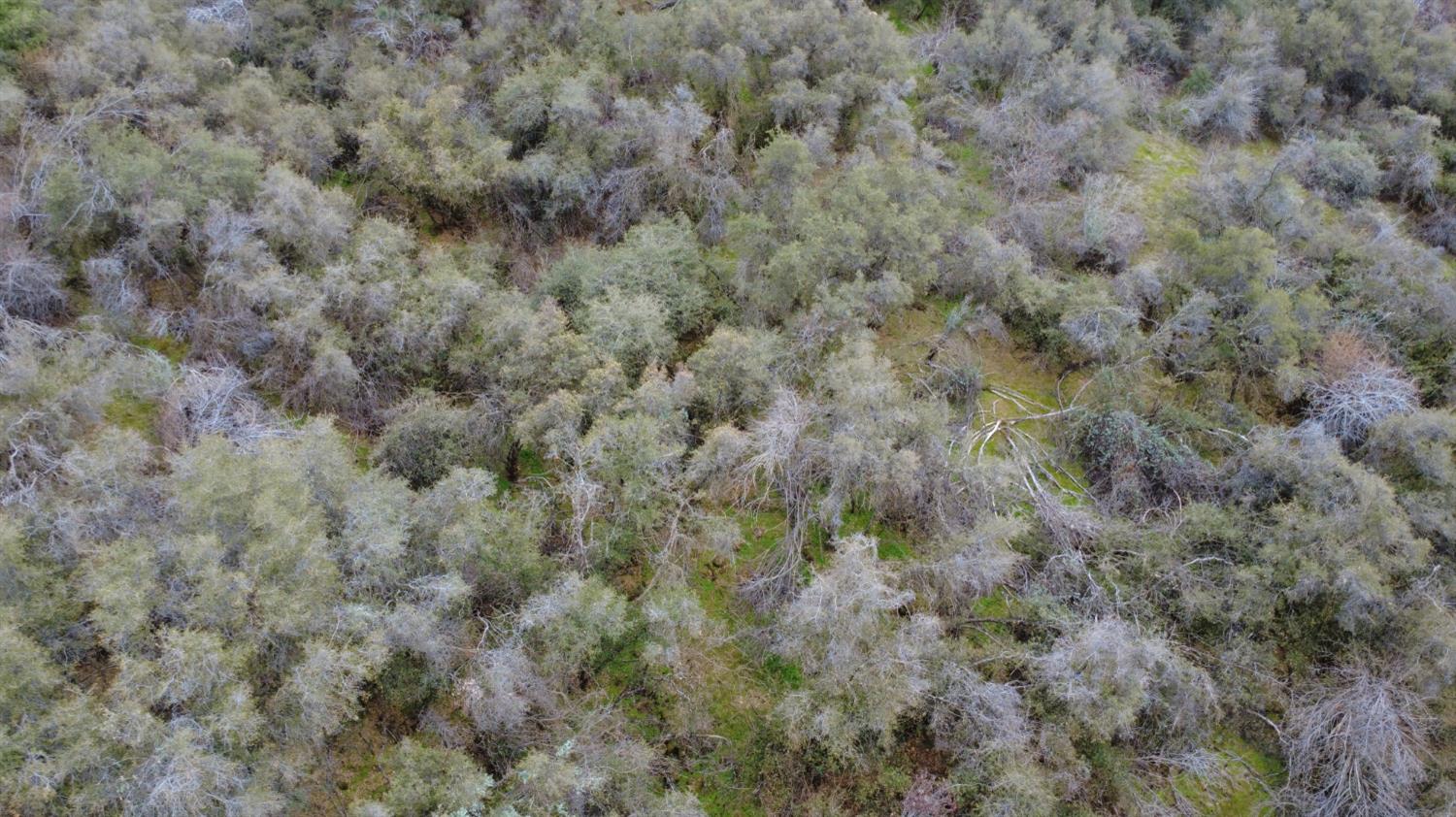 0 0 APN 190-430-43, Yokuts Valley, CA 93675