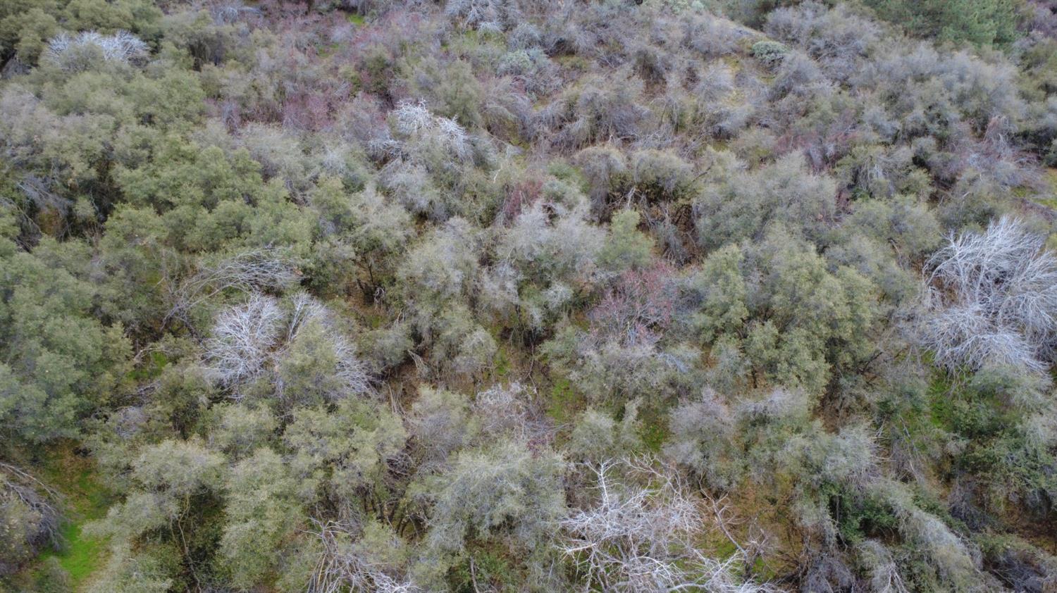 0 0 APN 190-430-43, Yokuts Valley, CA 93675