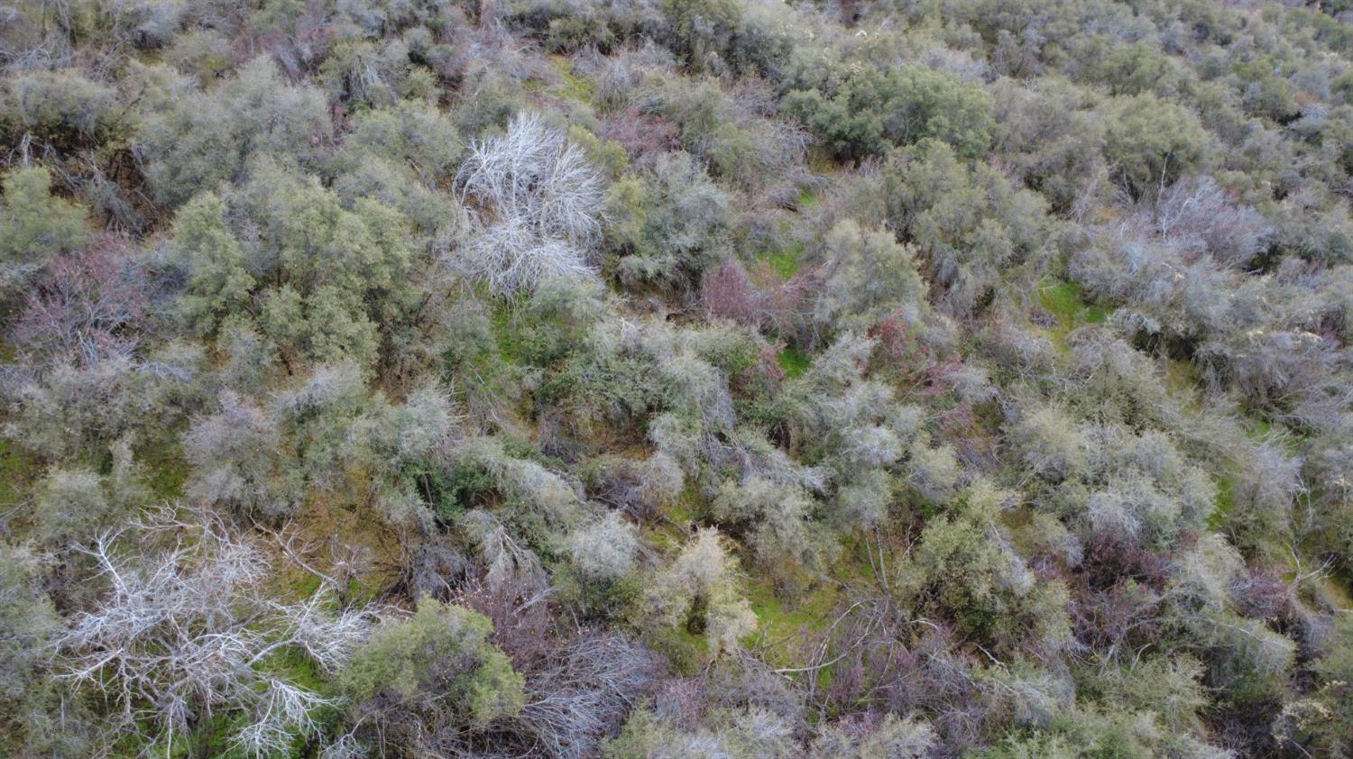 0 0 APN 190-430-43, Yokuts Valley, CA 93675