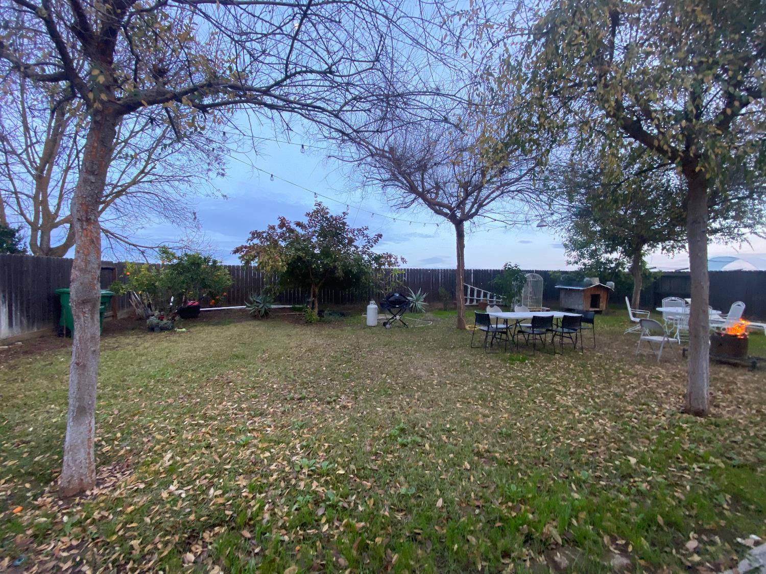 2244 N Thompson Ave, Reedley, CA 93654