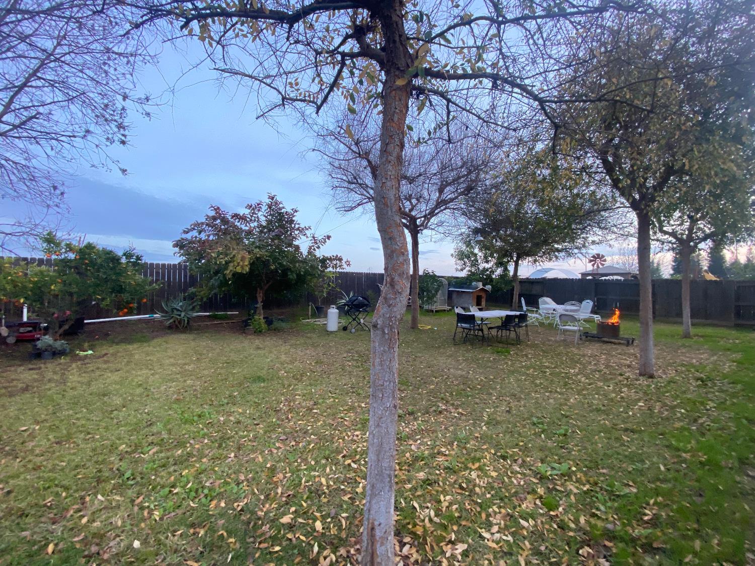 2244 N Thompson Ave, Reedley, CA 93654