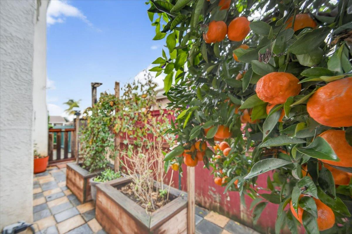 5593 W Norwich Ave, Fresno, CA 93722