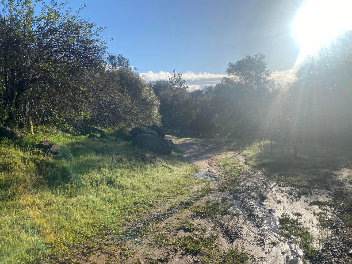 4297 Grist Rd, Mariposa, CA 95338