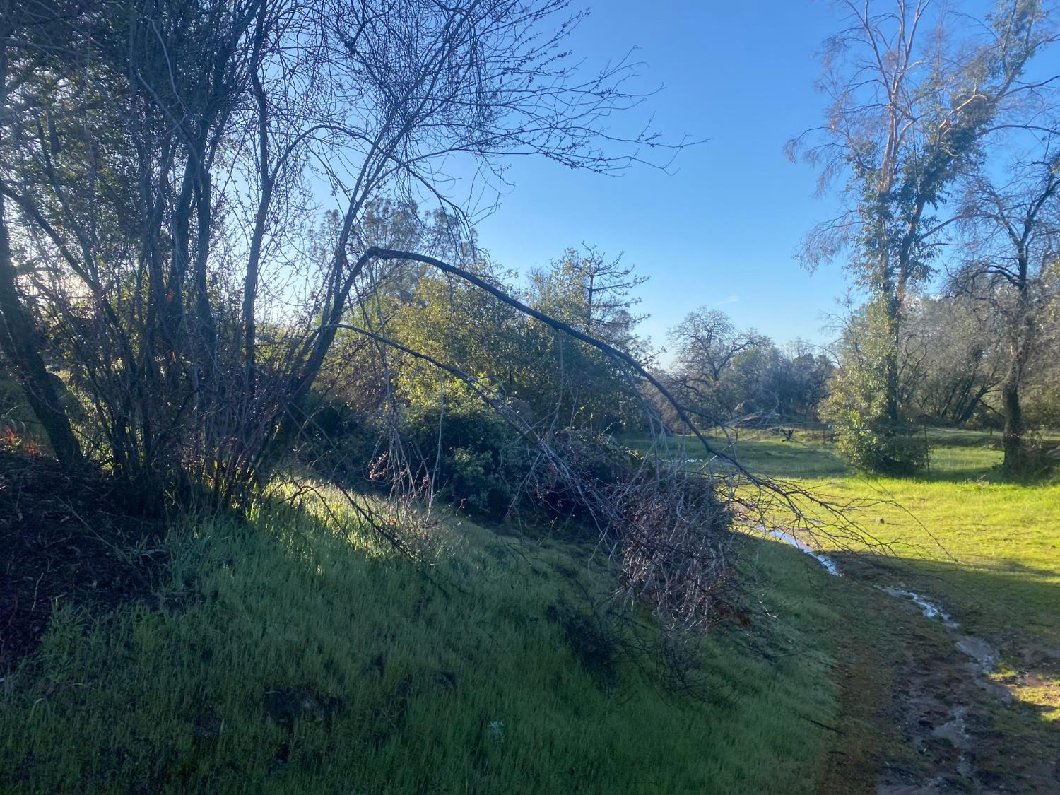 4297 Grist Rd, Mariposa, CA 95338