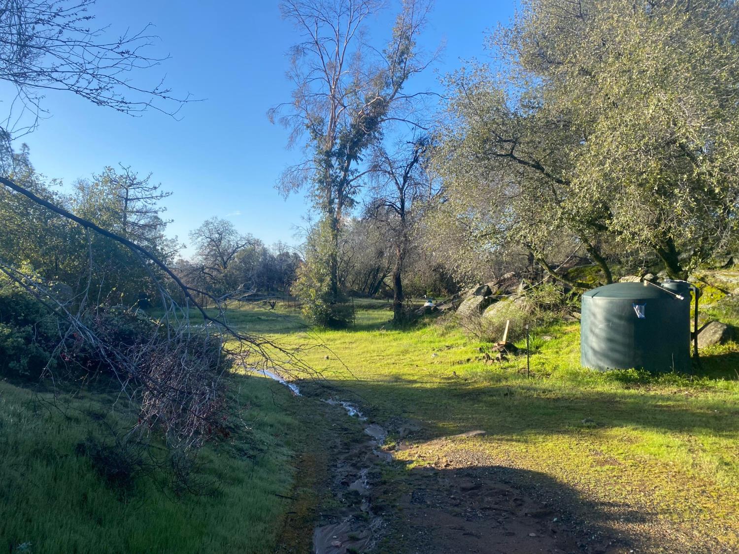 4297 Grist Rd, Mariposa, CA 95338