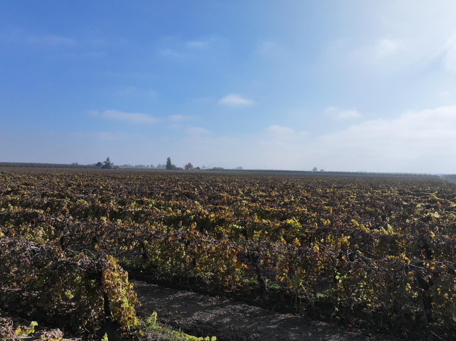 4801 E Parlier Ave, Fowler, CA 93625