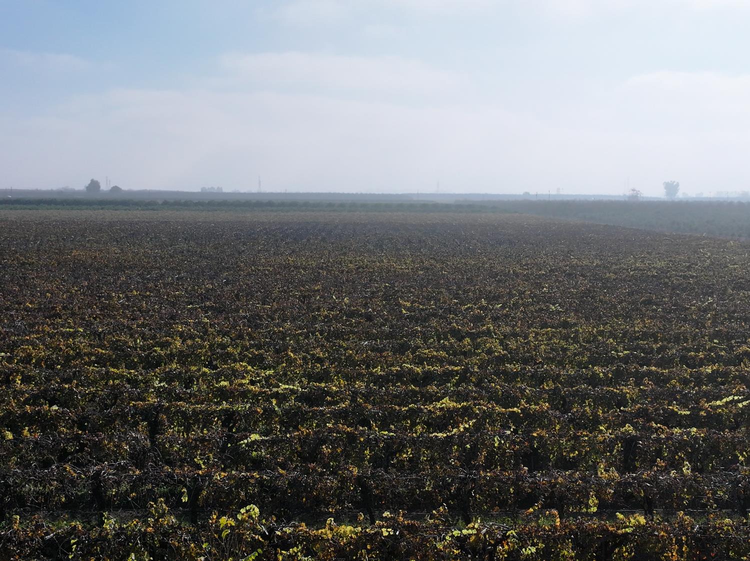 4801 E Parlier Ave, Fowler, CA 93625