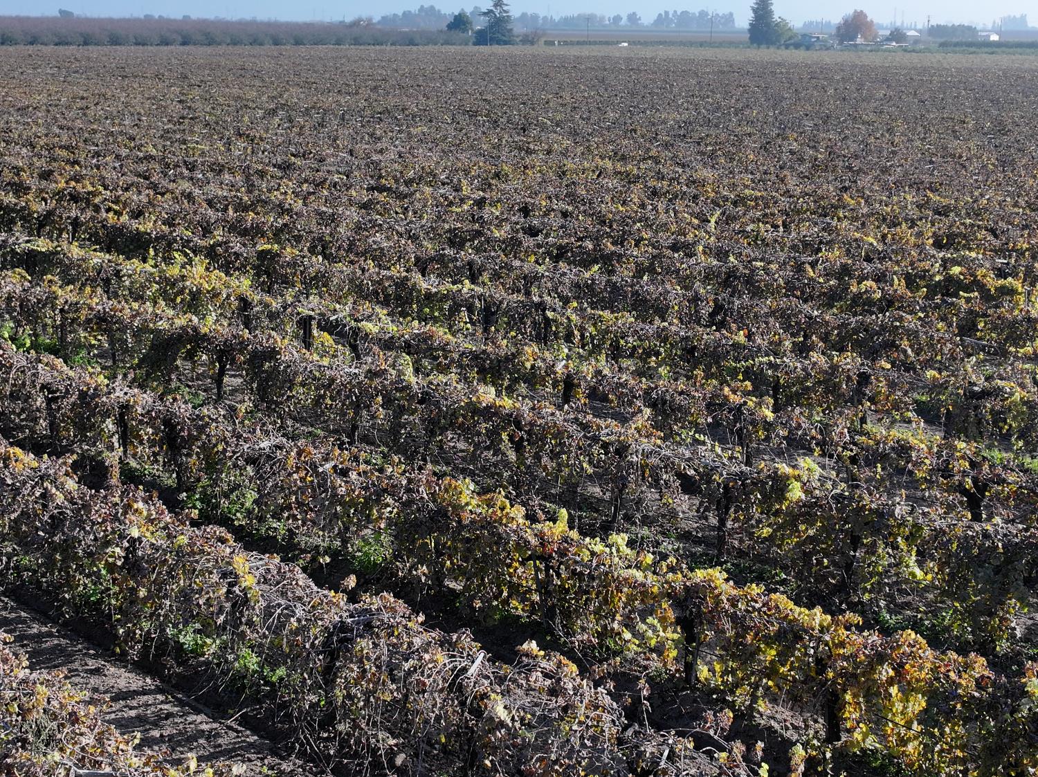 4801 E Parlier Ave, Fowler, CA 93625