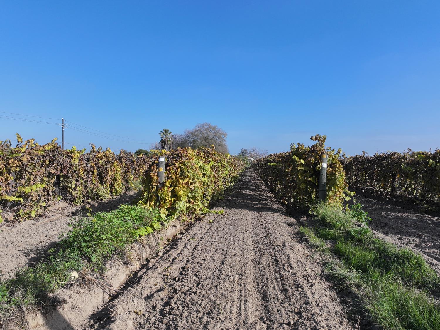 4801 E Parlier Ave, Fowler, CA 93625