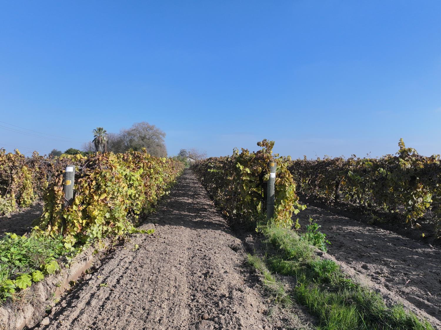 4801 E Parlier Ave, Fowler, CA 93625