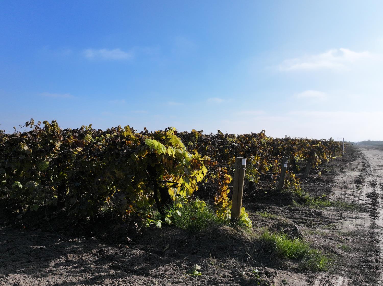 4801 E Parlier Ave, Fowler, CA 93625