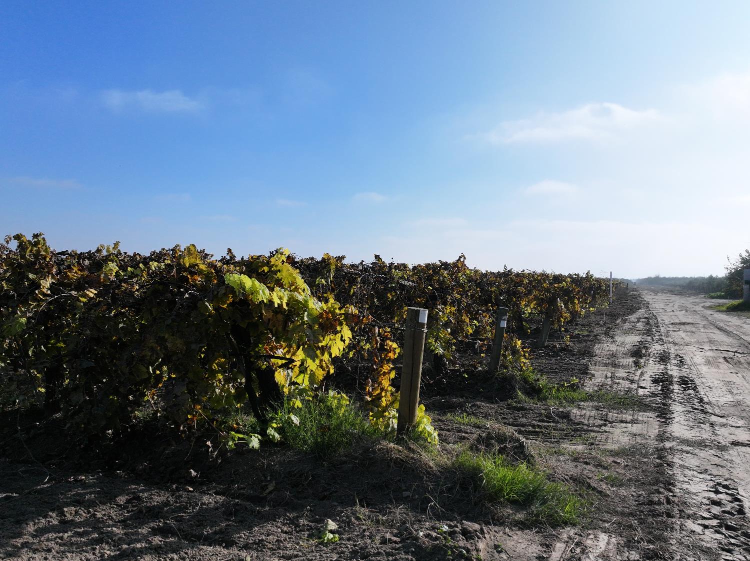 4801 E Parlier Ave, Fowler, CA 93625