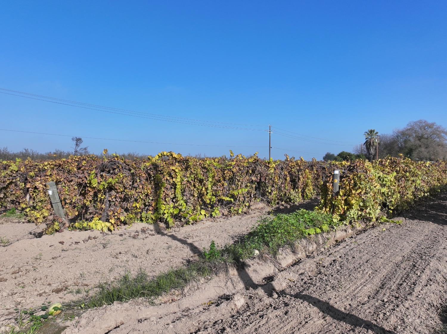 4801 E Parlier Ave, Fowler, CA 93625