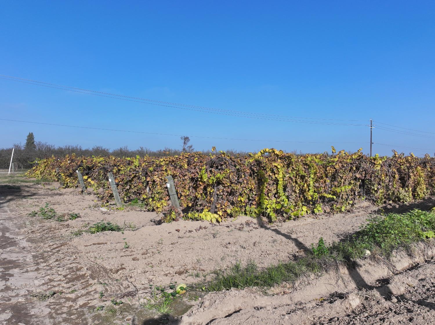 4801 E Parlier Ave, Fowler, CA 93625