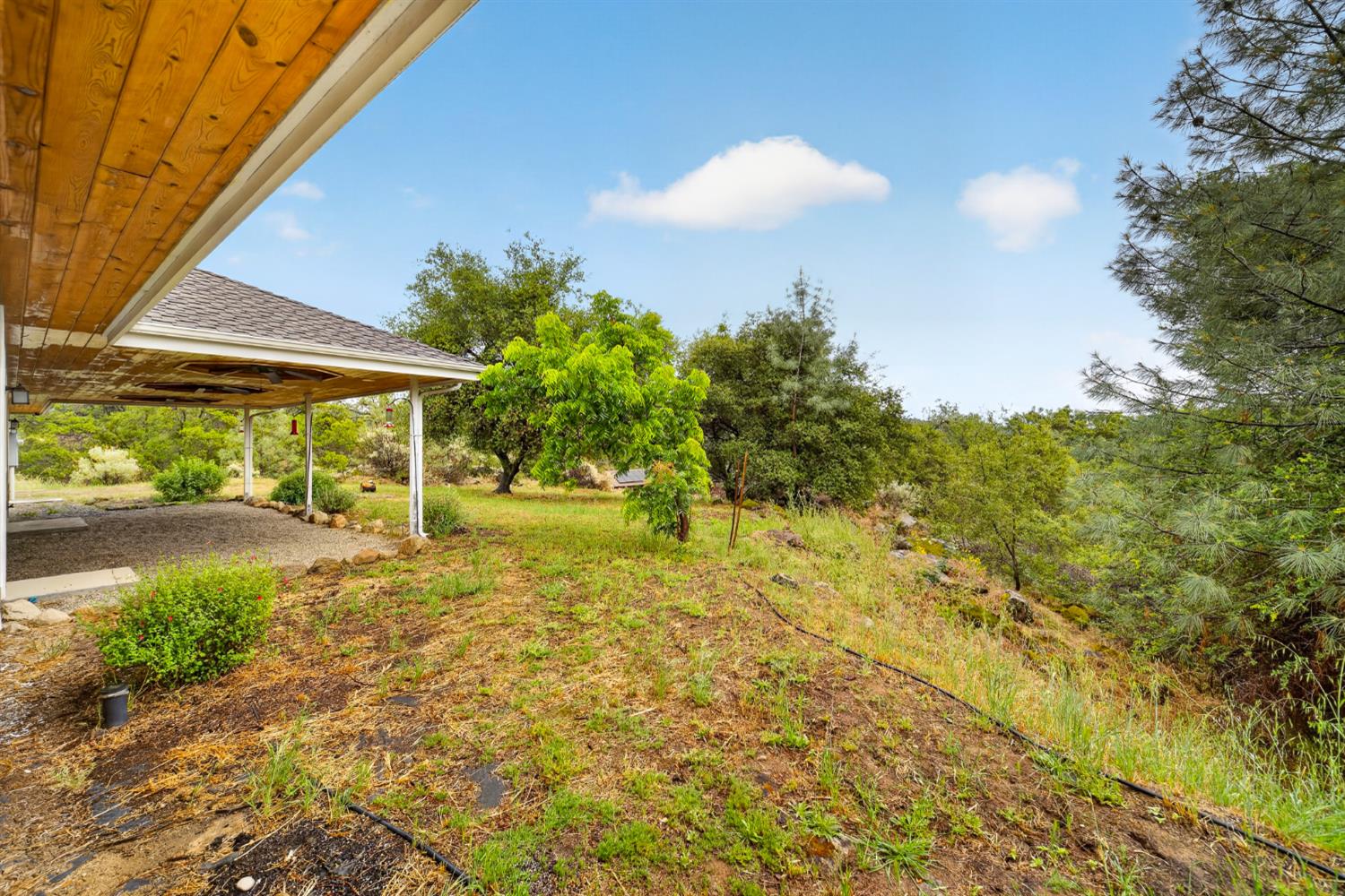 42160 Titan Ct, Coarsegold, CA 93614