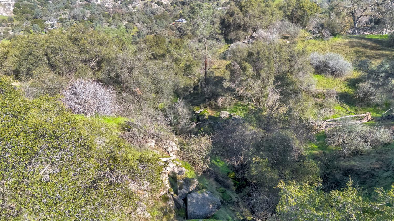 31646 Pennyroyal Lane, Prather, CA 93651