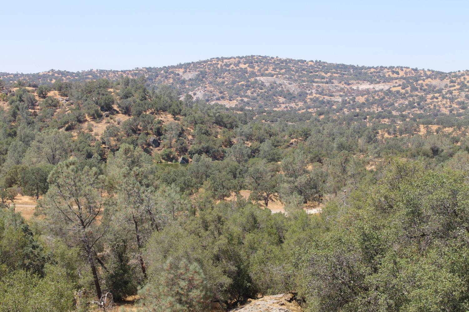 0 0 Deep Forest Dr, Coarsegold, CA 93614