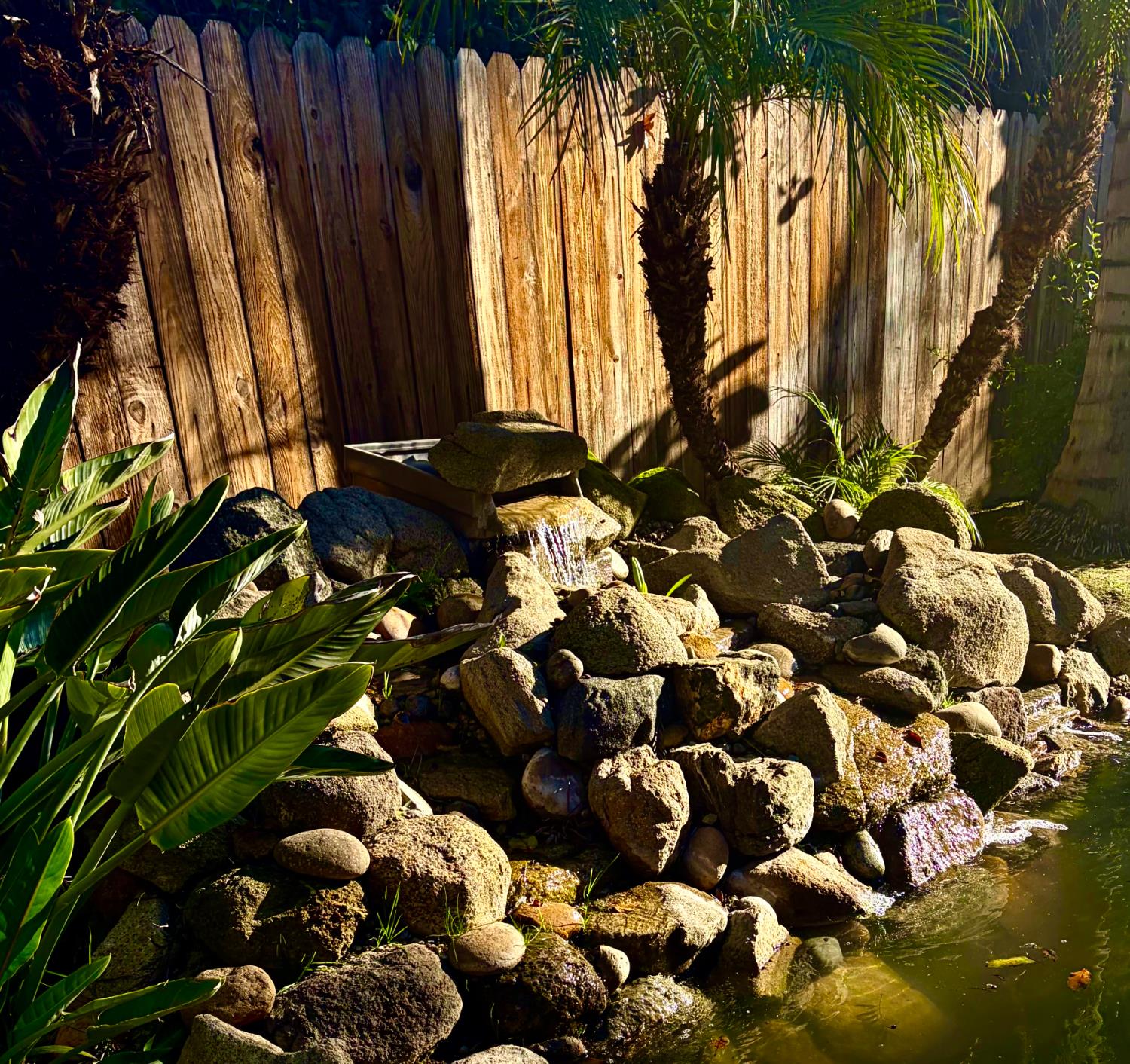 9584 N Larkspur Ave, Fresno, CA 93720