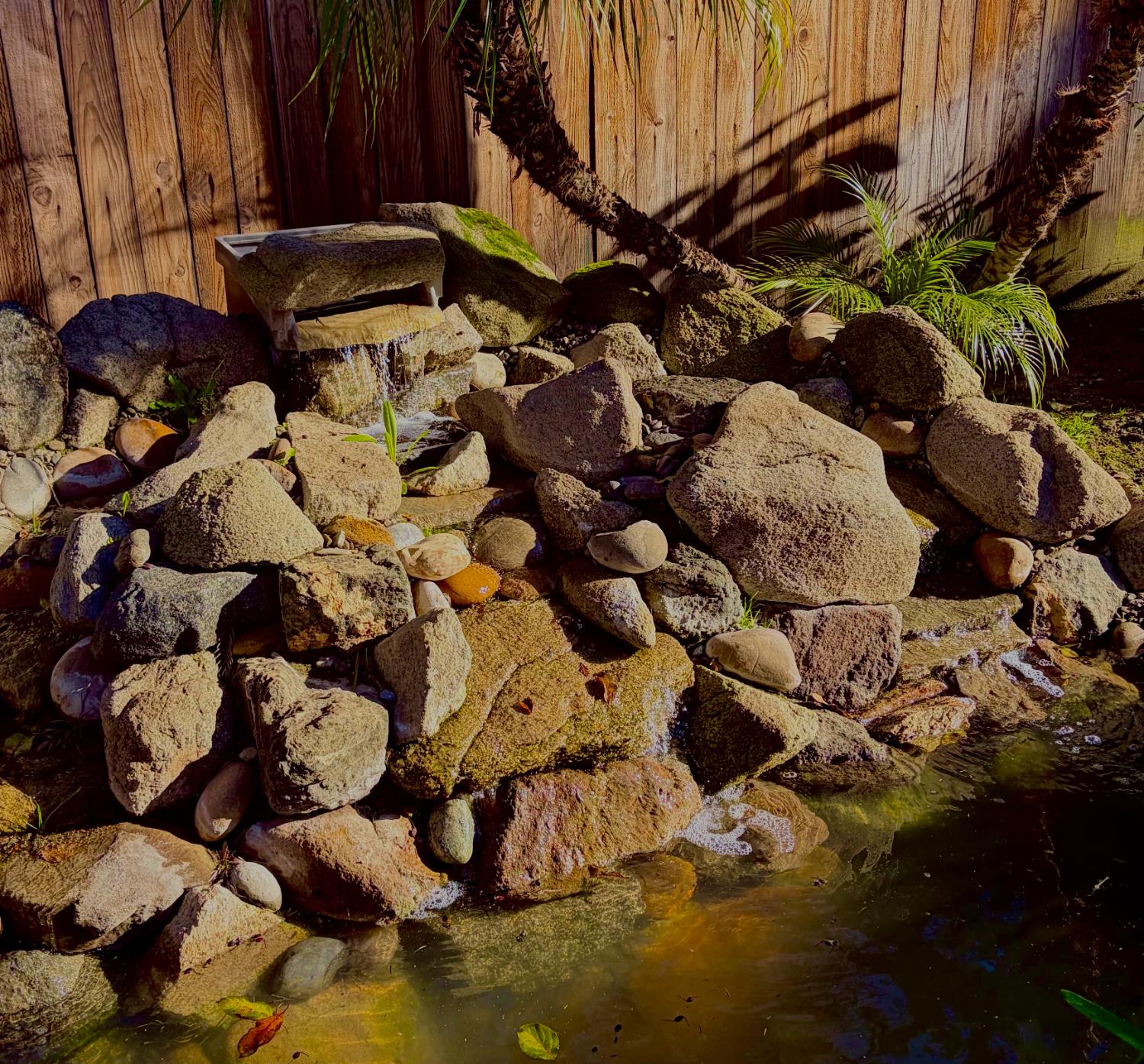 9584 N Larkspur Ave, Fresno, CA 93720