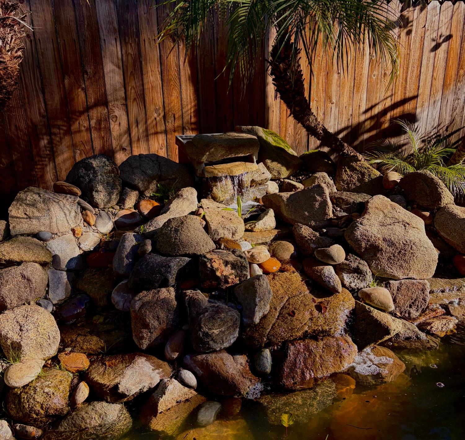 9584 N Larkspur Ave, Fresno, CA 93720