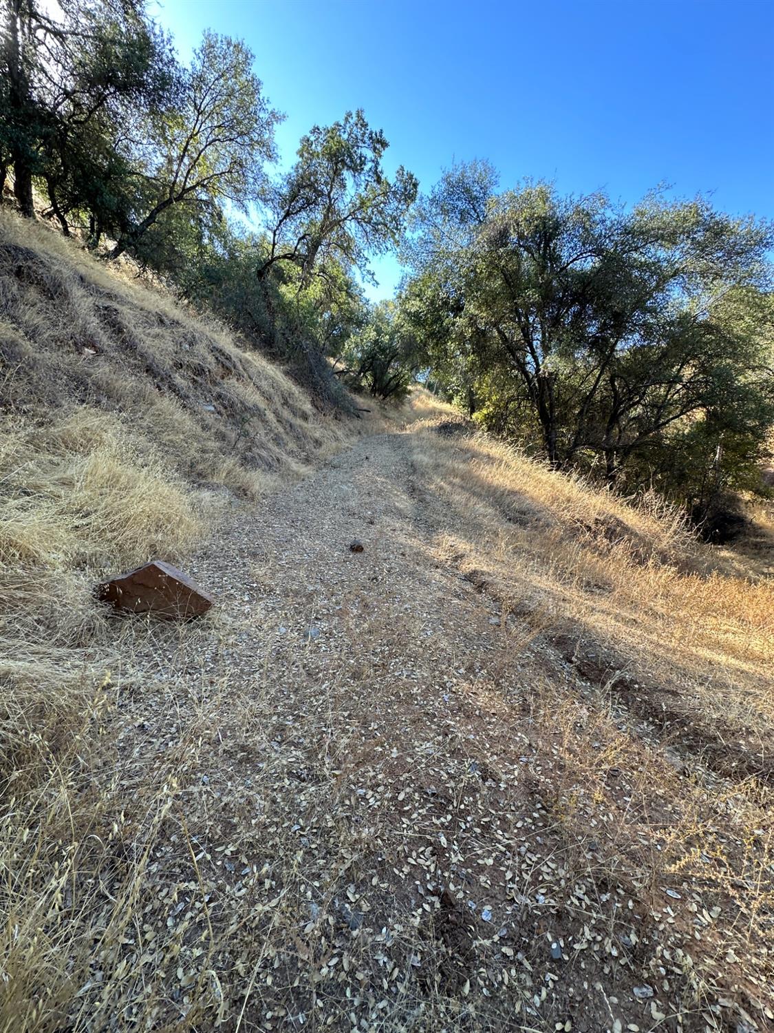 38284 Barberry Ln, Yokuts Valley, CA 93675