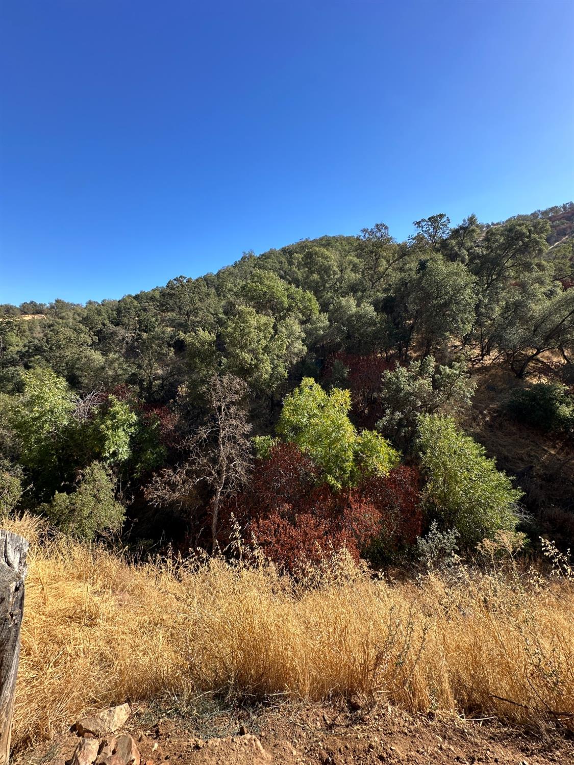 38284 Barberry Ln, Yokuts Valley, CA 93675