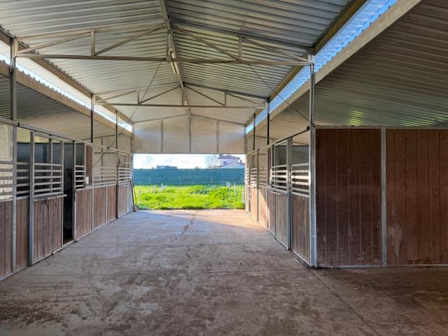 35570 Avenue 14 1/2, Madera, CA 93636