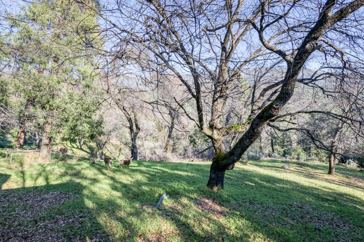 36187 Sierra Linda Dr, Wishon, CA 93669