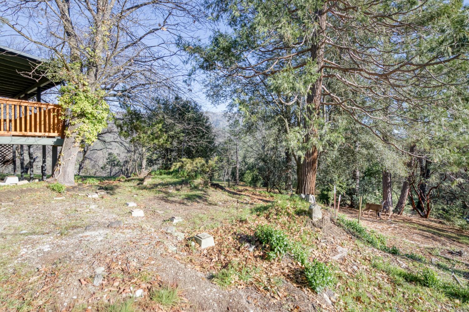 36187 Sierra Linda Dr, Wishon, CA 93669