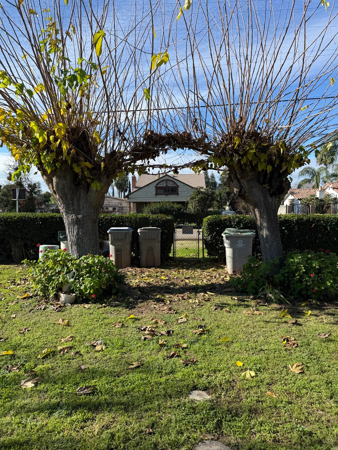 2384 N Bryan, Fresno, CA 93723