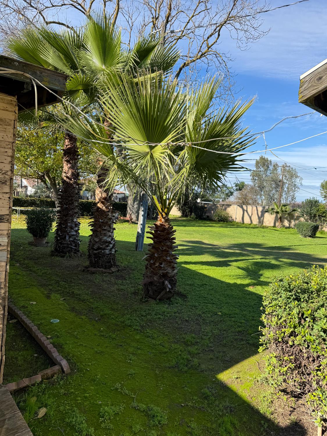 2384 N Bryan, Fresno, CA 93723