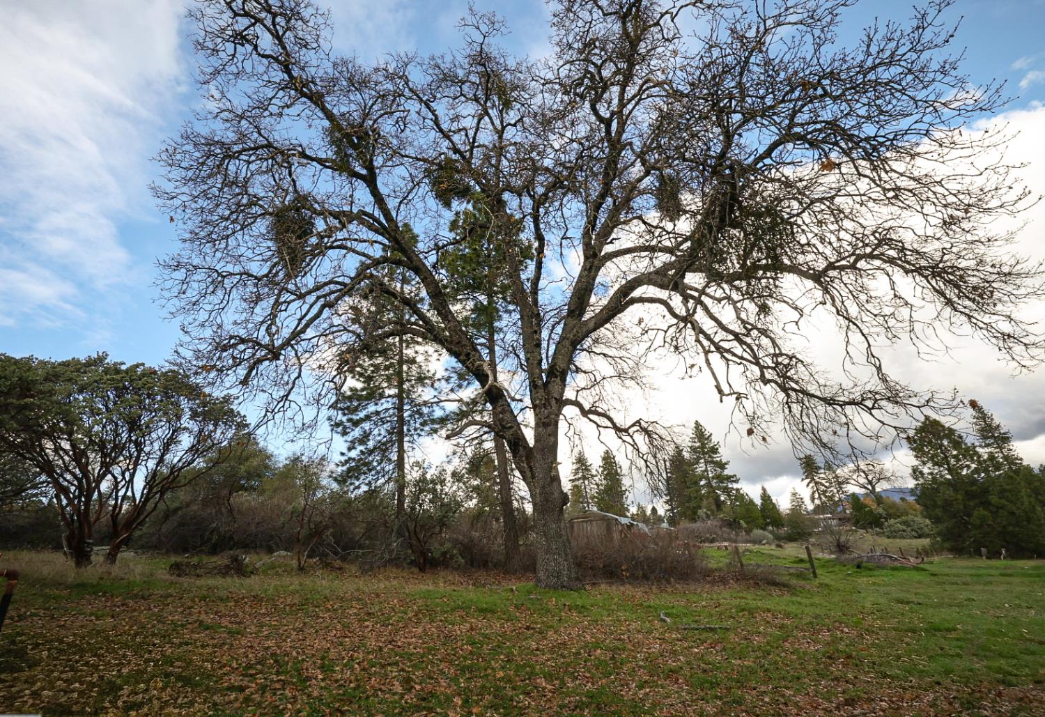 5156 Hillside Dr, Mariposa, CA 95338