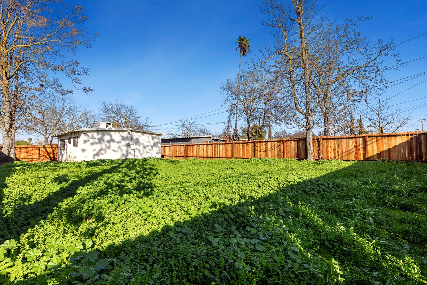 209 W Eden Ave, Fresno, CA 93706