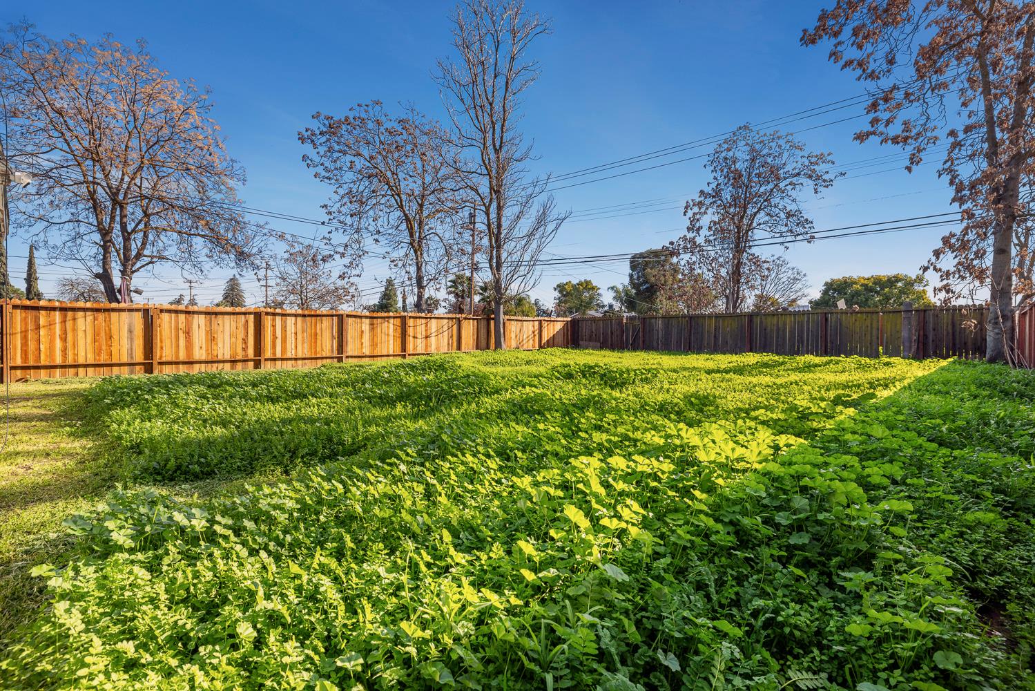 209 W Eden Ave, Fresno, CA 93706