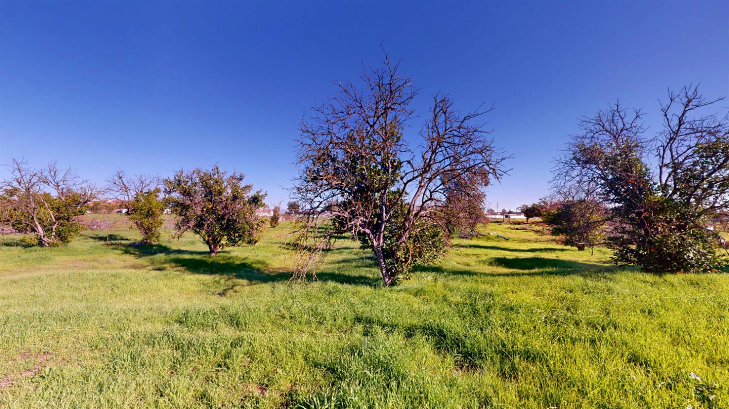 16363 Paula Rd, Madera, CA 93636