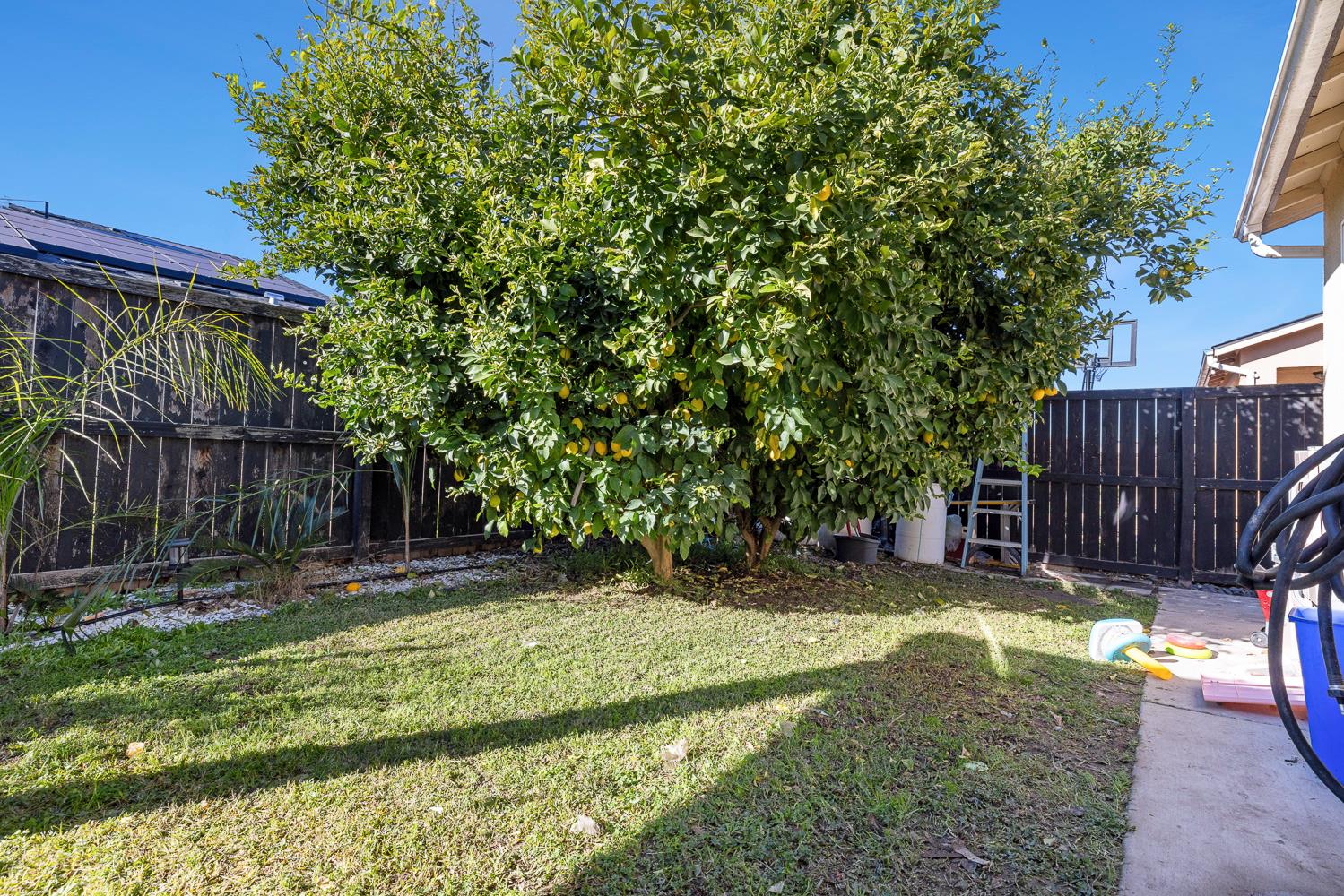 8611 Gardenia Ave, Parlier, CA 93648