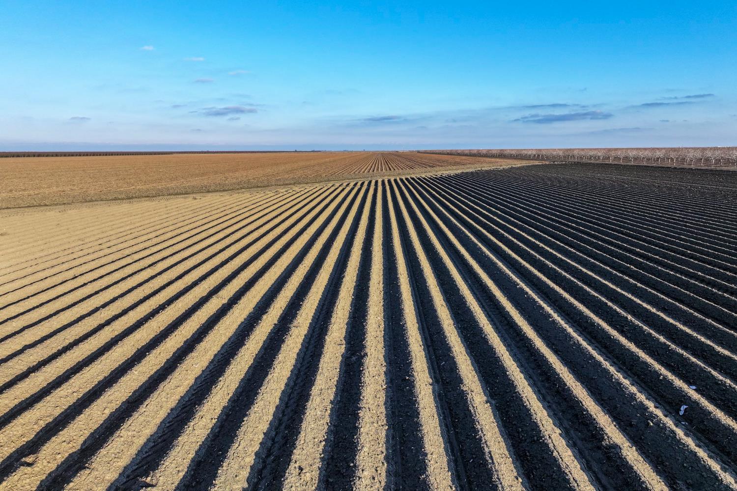 0 0 Napa Ave, Helm, CA 93627