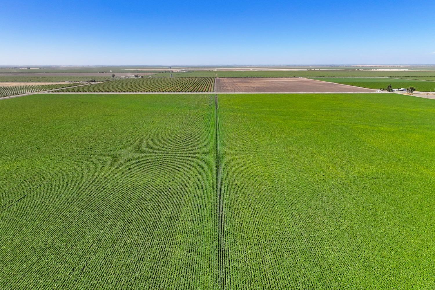 8990 S Placer, San Joaquin, CA 93660