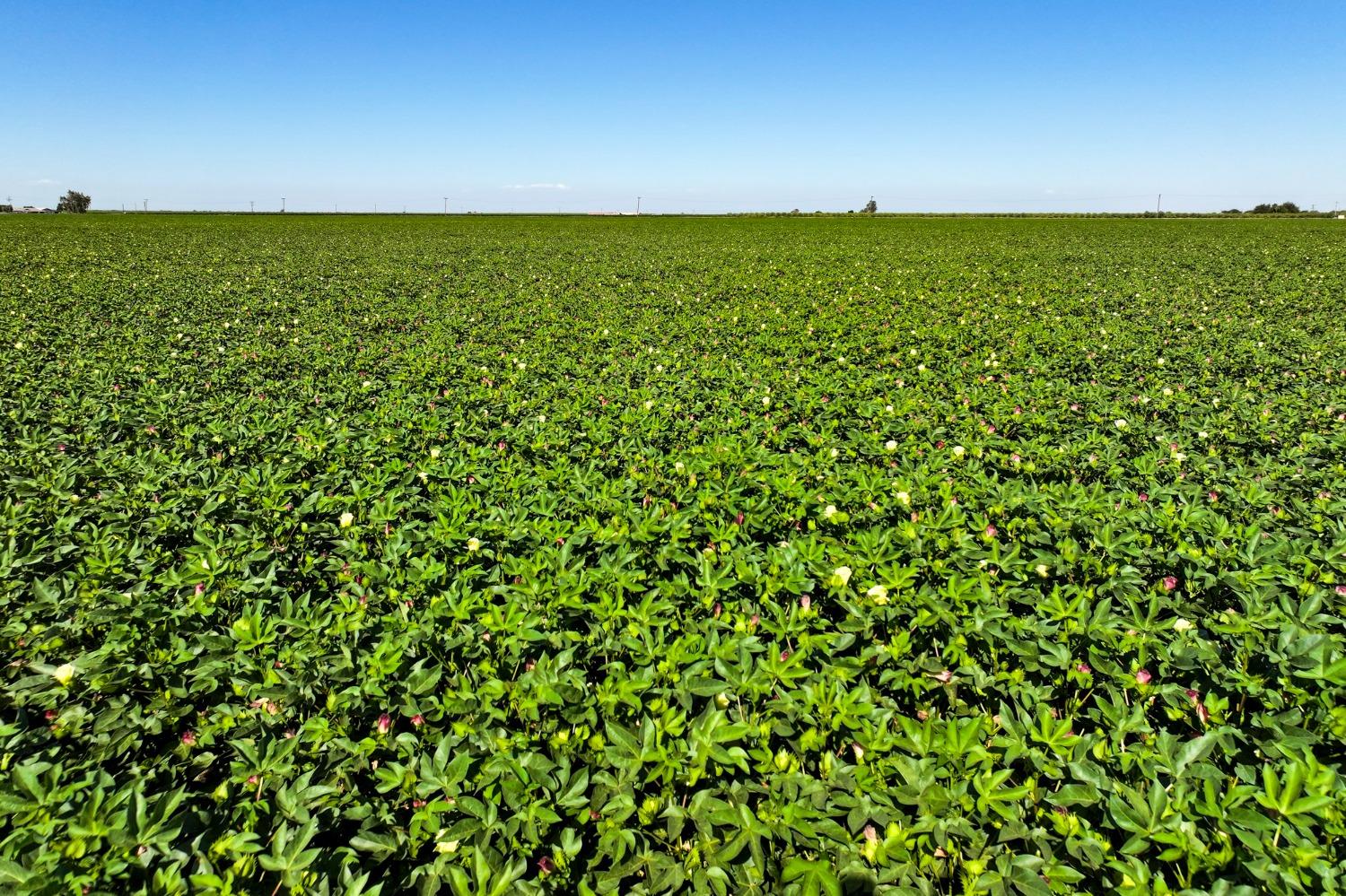 8990 S Placer, San Joaquin, CA 93660