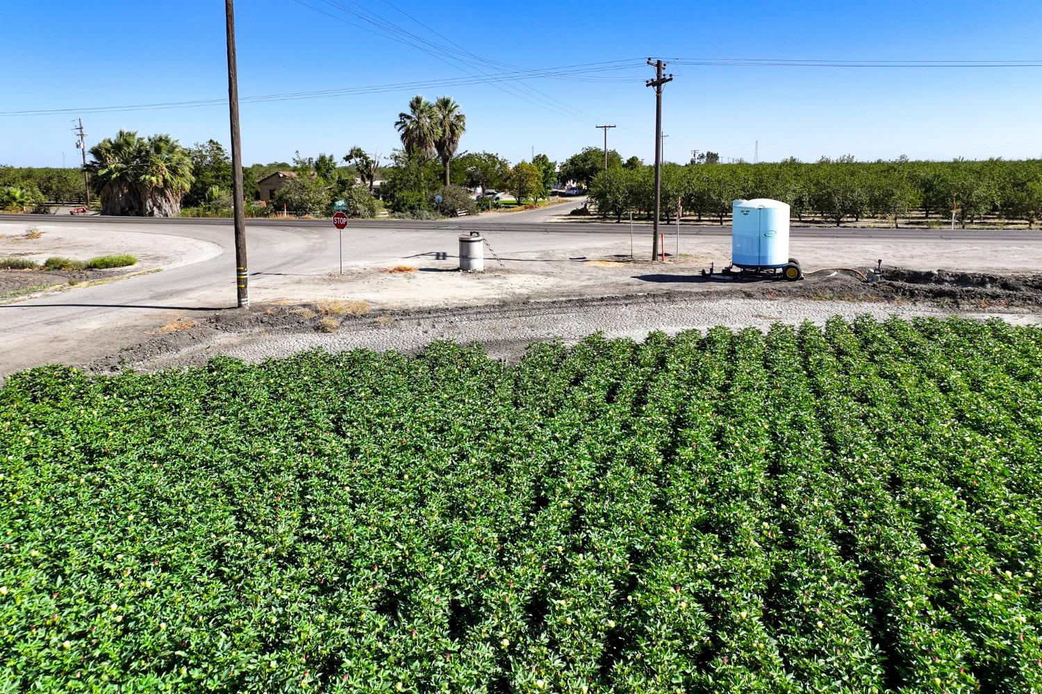 8990 S Placer, San Joaquin, CA 93660