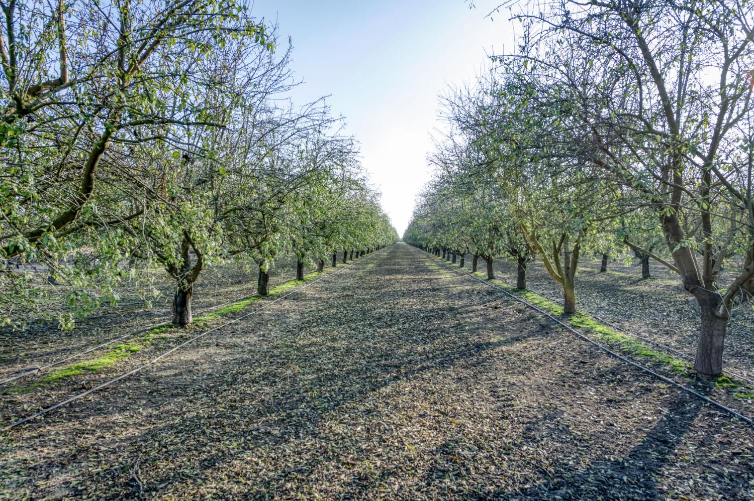 20880 Road 18, Chowchilla, CA 93610