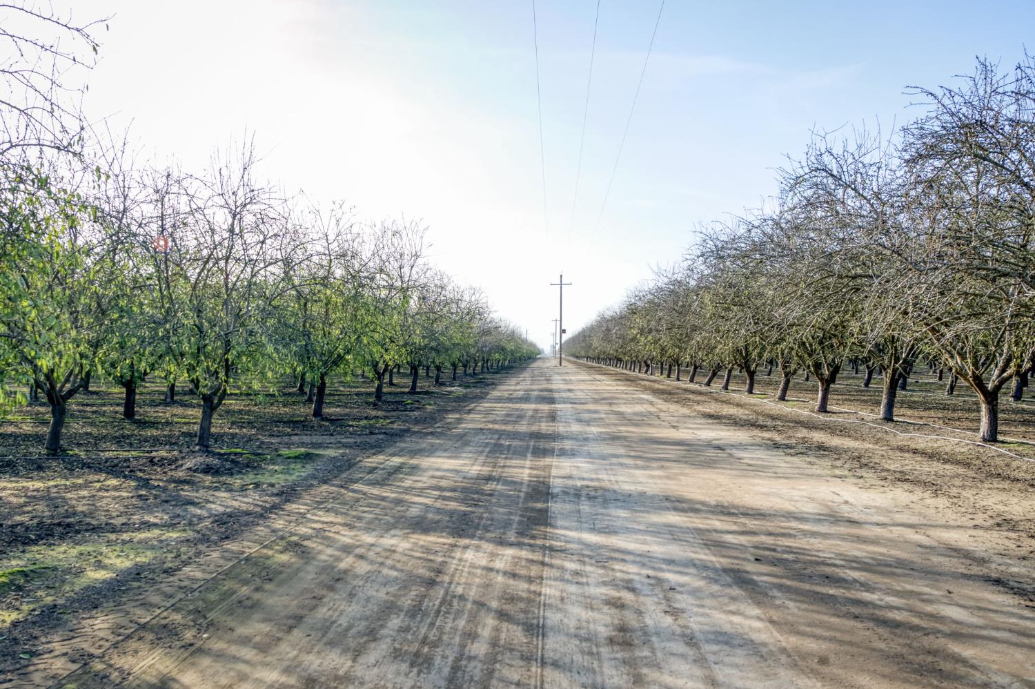 20880 Road 18, Chowchilla, CA 93610